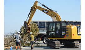 ドローンによる被災箇所調査後の倒木撤去作業