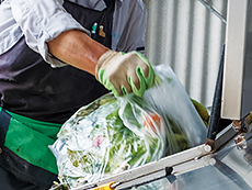 �H�i�c�ԓ������i