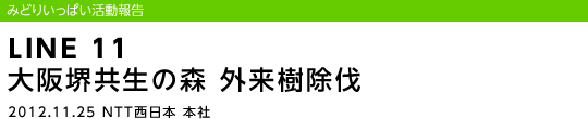 LINE 11 ���䋤���̐X�@�O��������/2012.11.25 NTT�����{ �{��