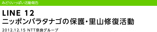 LINE 12 �j�b�|���o���^�i�S�̕ی�E���R�C������/2012.12.15 NTT�ޗǃO���[�v