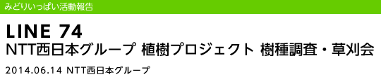LINE 74 NTT�����{�O���[�v �A���v���W�F�N�g ���풲���E������