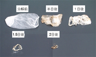 �ʐ^�P�䏊�p���؂�l�b�g�����ʐ^