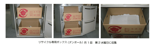 ���T�C�N����p�{�b�N�X�i�_���{�[���j�̎ʐ^