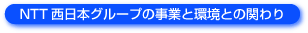 NTT�����{�O���[�v���񍐏�2006�uNTT�����{�O���[�v�̎��ƂƊ��Ƃ̊ւ��v