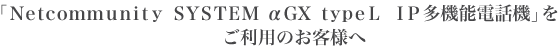 �uNetcommunity SYSTEM ��GX typeL�@IP���@�\�d�b�@�v�������p�̂��q�l��
