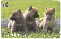 ICテレホンカードの表面